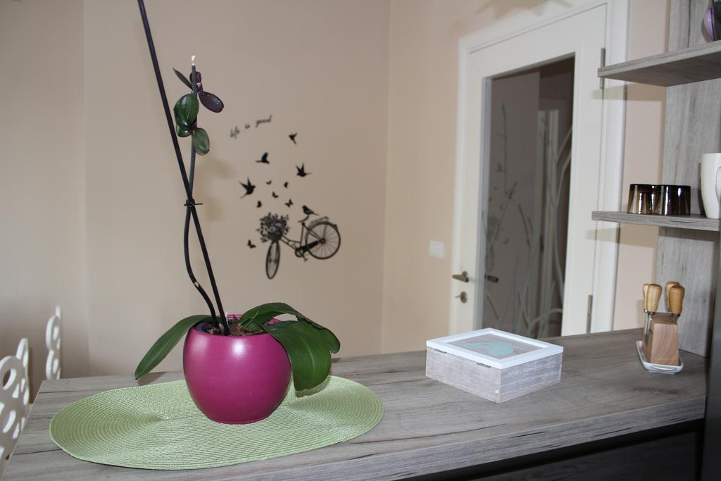 베오그라드 Orchid House 아파트 외부 사진